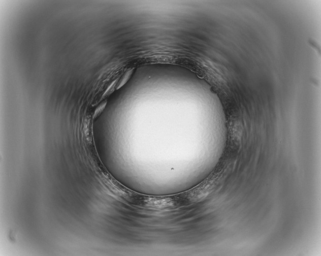 X0000098080185200804181208