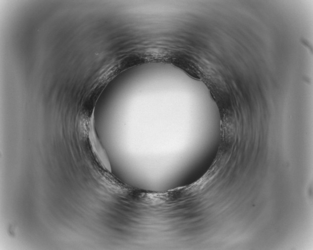 X0000098080188200804181208