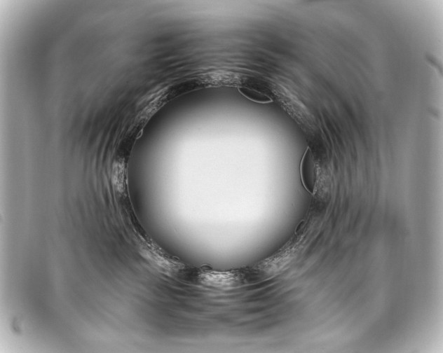 X0000098080189200804181208