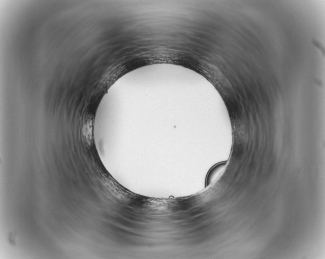 X0000098080190200804181208