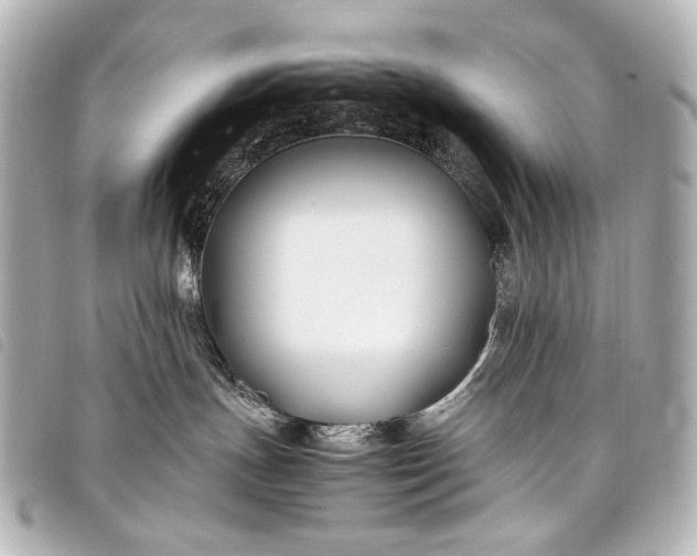 X0000098080191200804181208