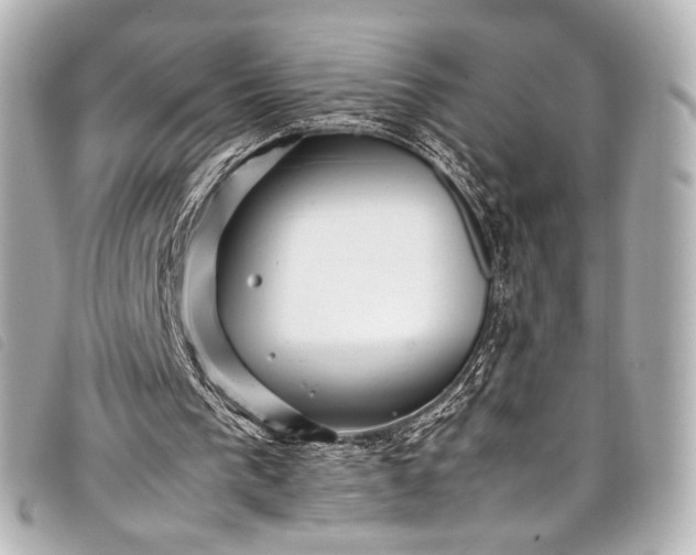 X0000098080193200804181207