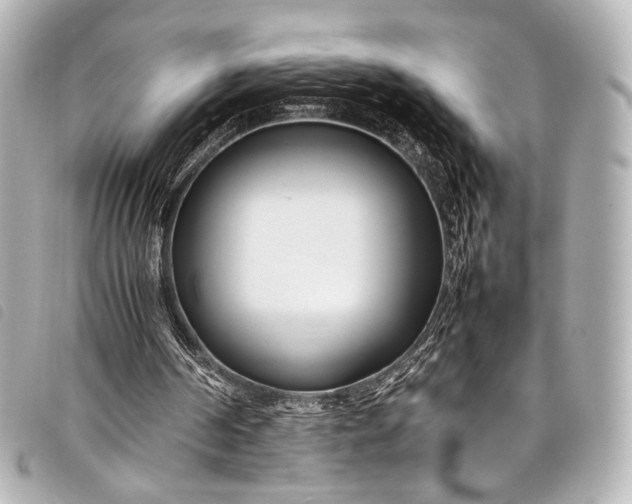 X0000098080194200804181207