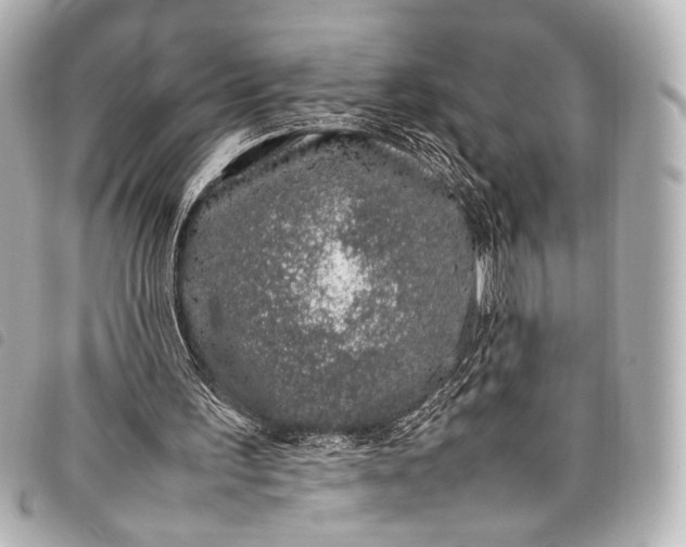 X0000098080195200804181207