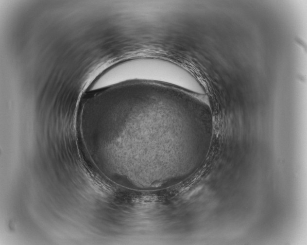 X0000098080196200804181207