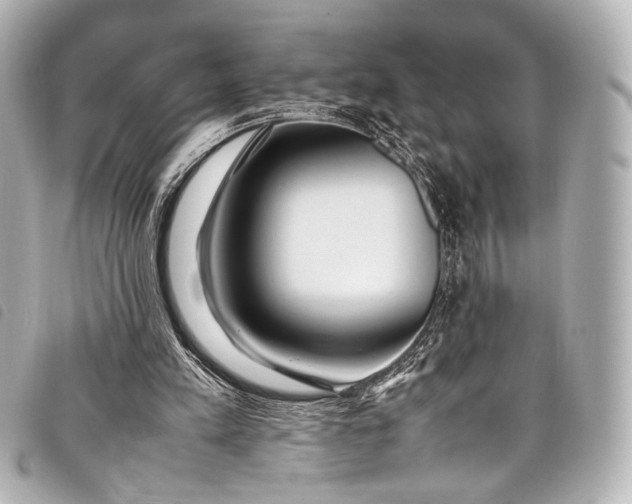 X0000098080197200804181207