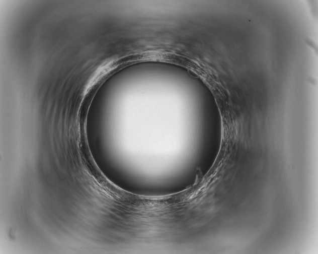 X0000098080198200804181207