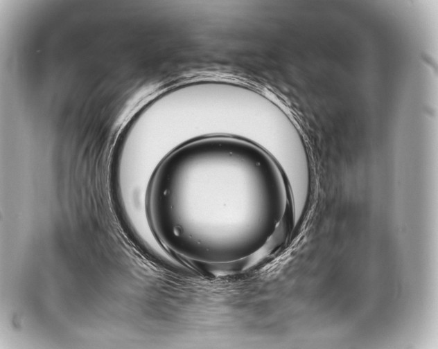 X0000098080199200804181207