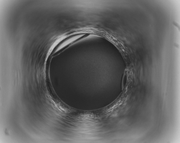 X0000098080200200804181207