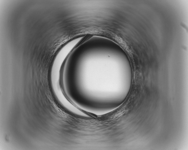 X0000098080201200804181207