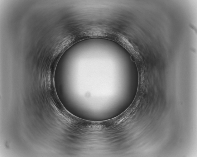 X0000098080202200804181207