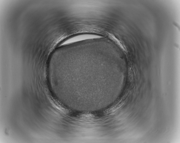 X0000098080203200804181207