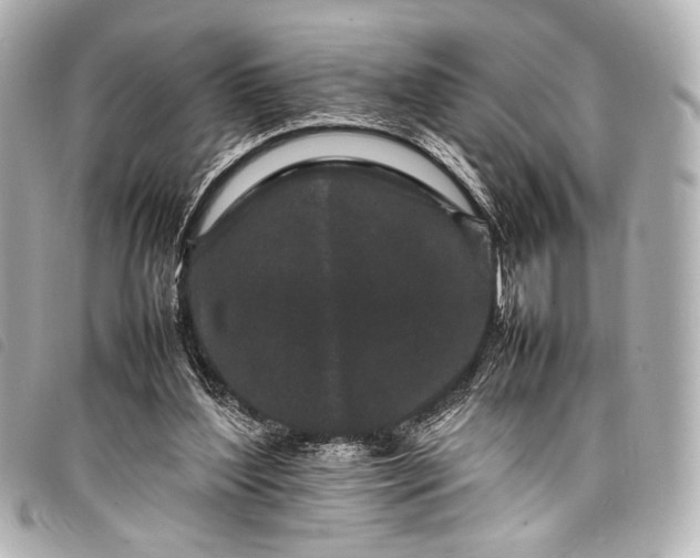 X0000098080204200804181207