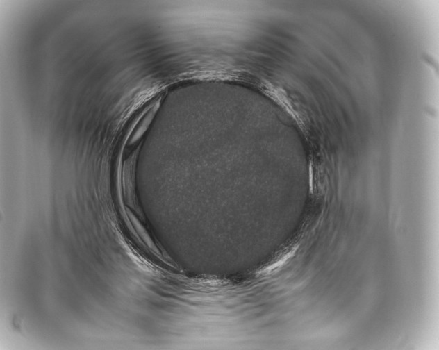 X0000098080205200804181207