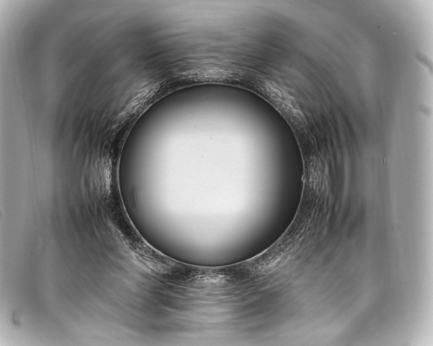 X0000098080206200804181207