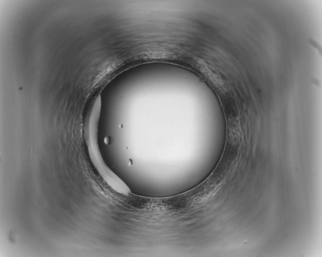 X0000098080207200804181207