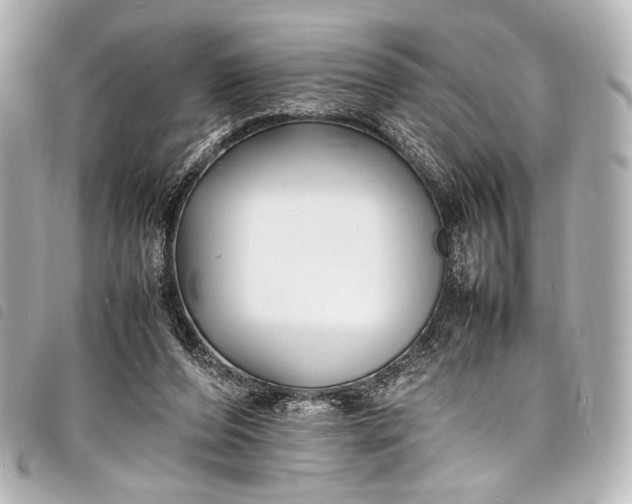 X0000098080208200804181207