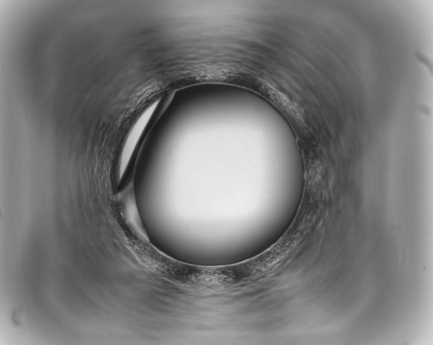 X0000098080209200804181207