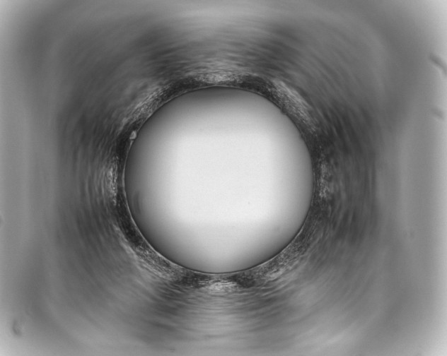 X0000098080210200804181207