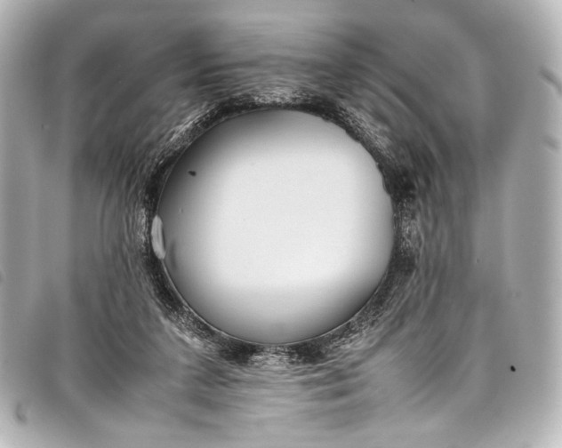 X0000098080211200804181207