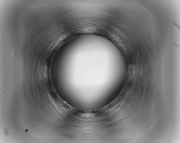 X0000098080212200804181207