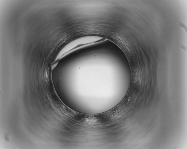 X0000098080214200804181207