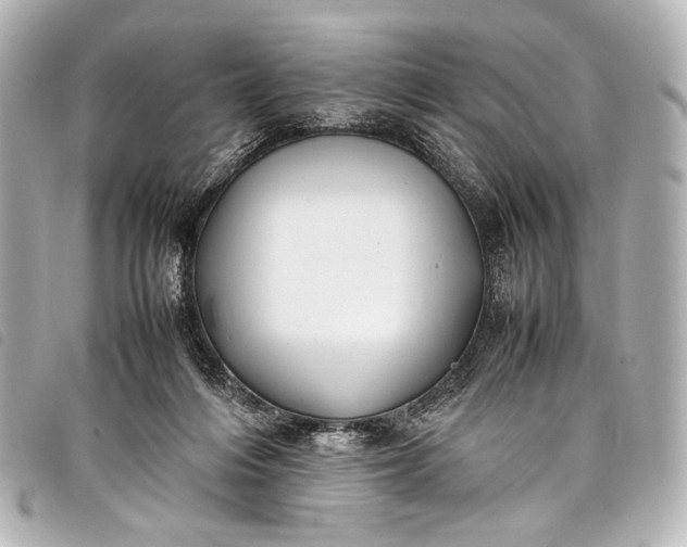 X0000098080216200804181207