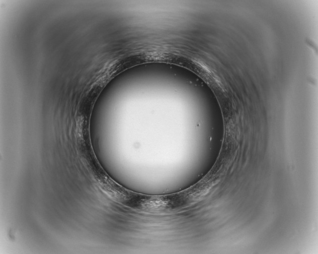 X0000098080217200804181207