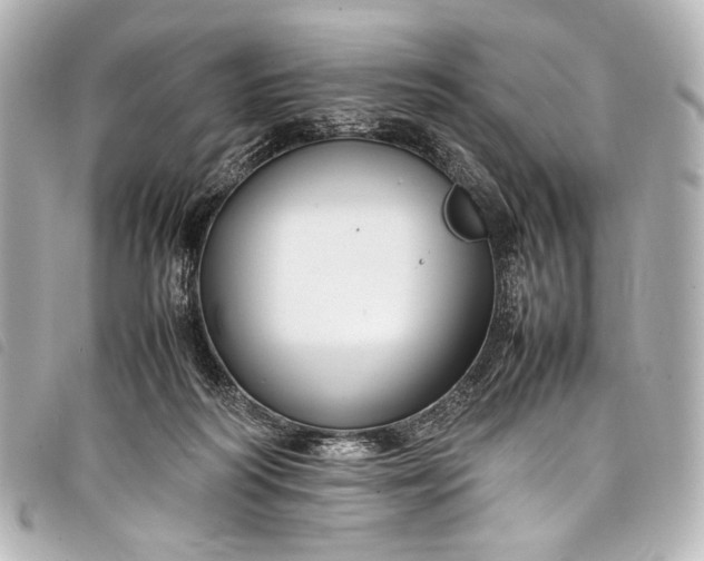 X0000098080218200804181207