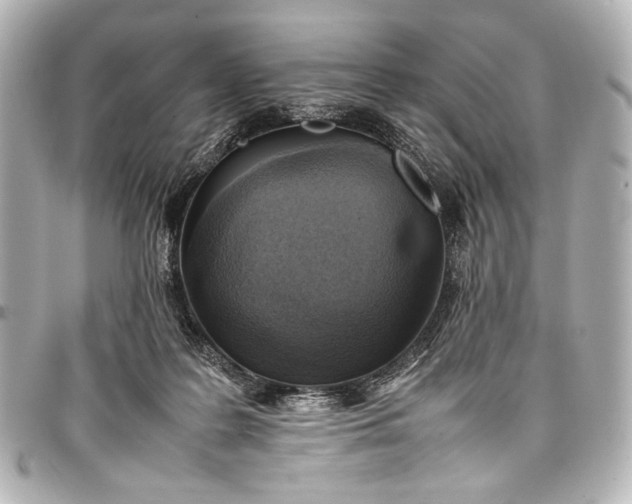 X0000098080219200804181207