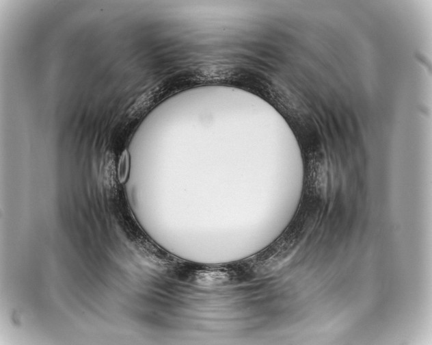 X0000098080220200804181207