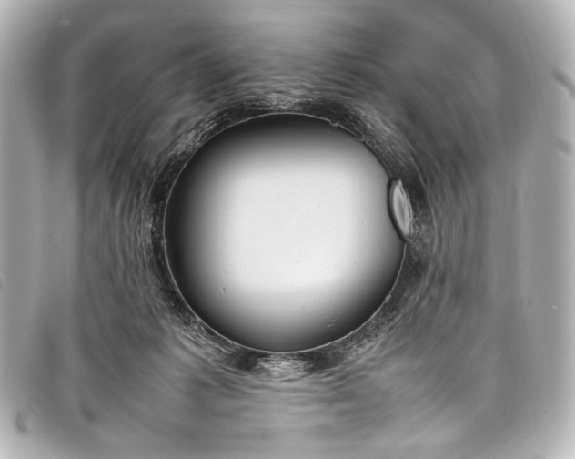 X0000098080221200804181207