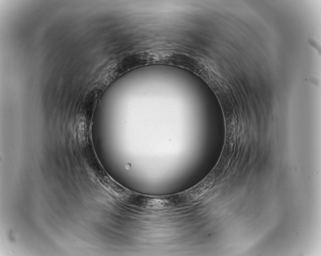 X0000098080222200804181207