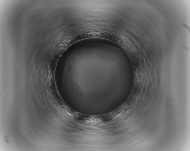 X0000098080223200804181207