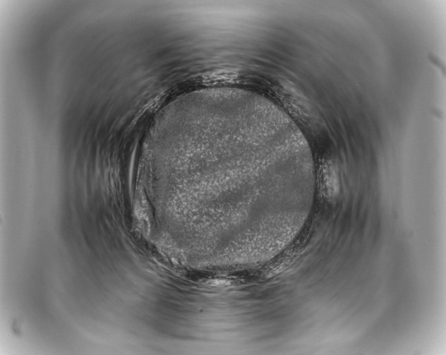 X0000098080224200804181207