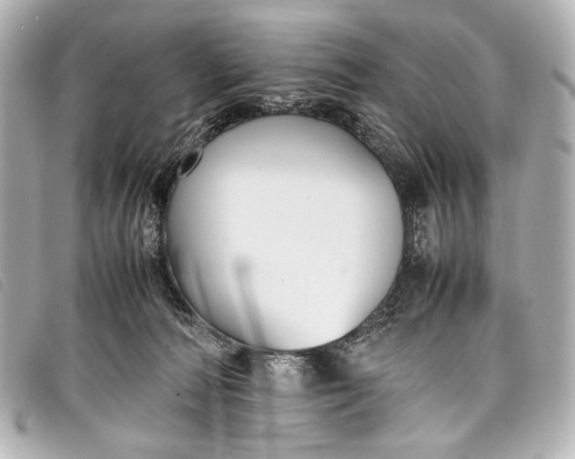 X0000098080226200804181207