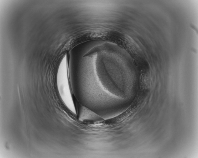 X0000098080227200804181207