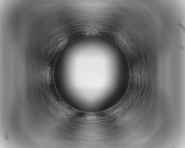 X0000098080228200804181207