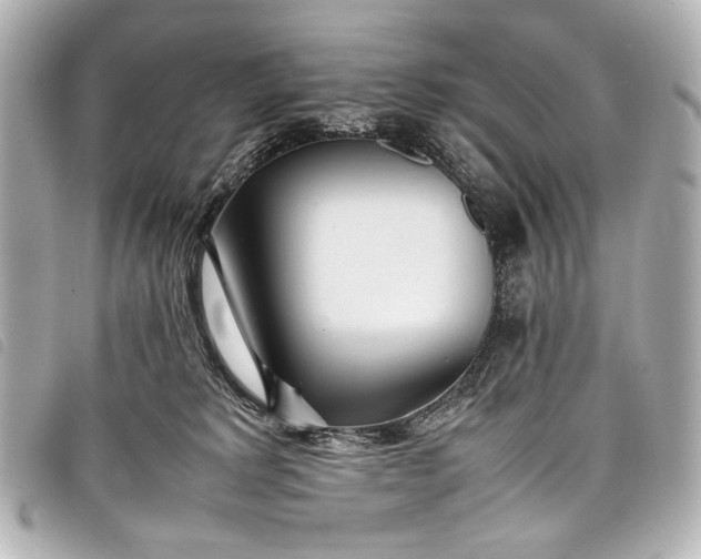 X0000098080229200804181207