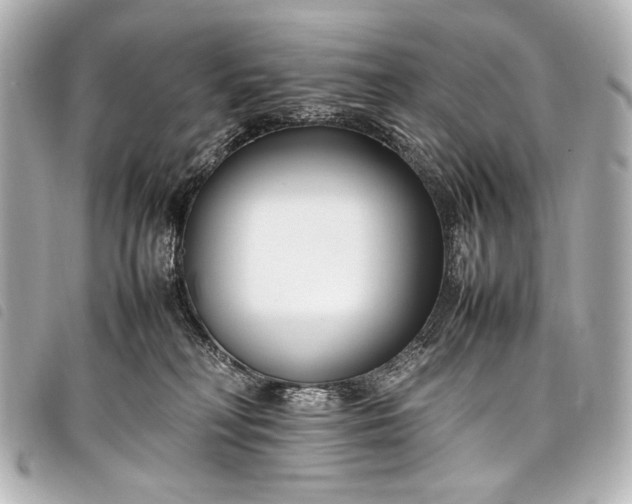 X0000098080230200804181207