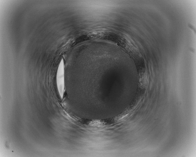 X0000098080231200804181207