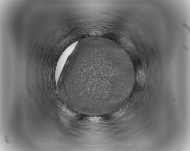 X0000098080233200804181207