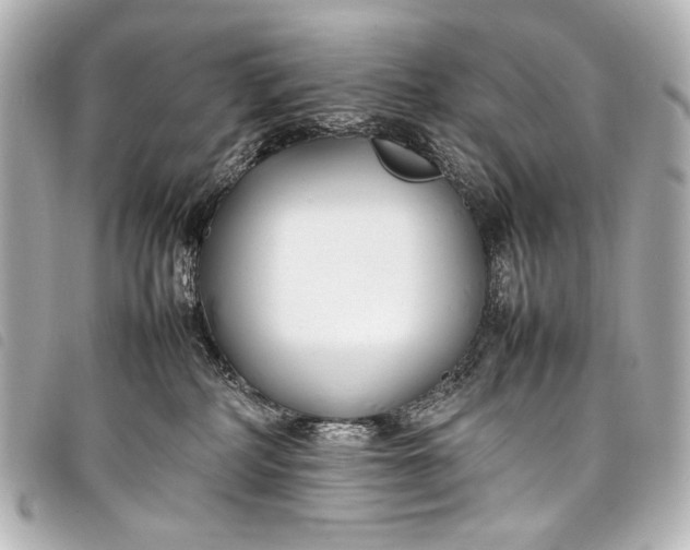 X0000098080234200804181207