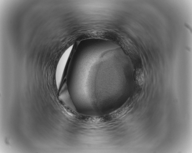 X0000098080235200804181207