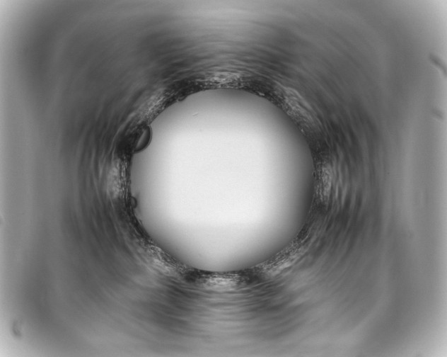 X0000098080236200804181207