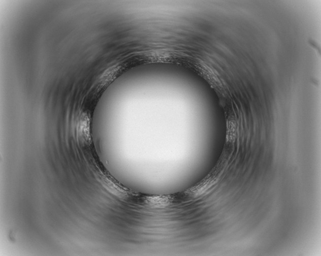 X0000098080238200804181207