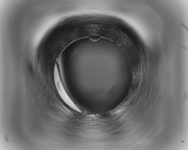 X0000098080239200804181207