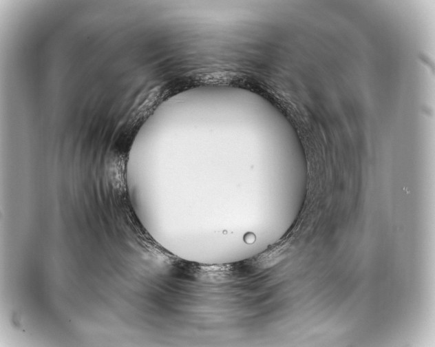 X0000098080240200804181207