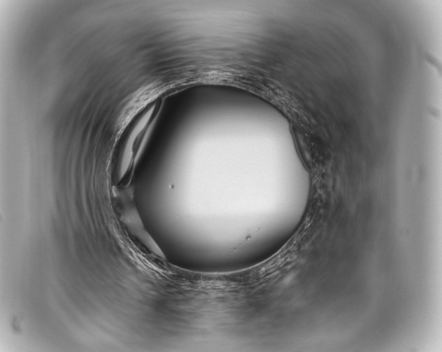 X0000098080242200804181206