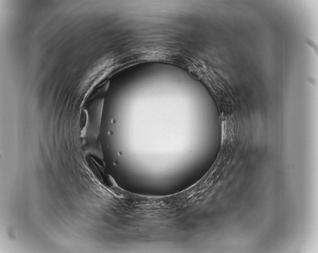 X0000098080243200804181206